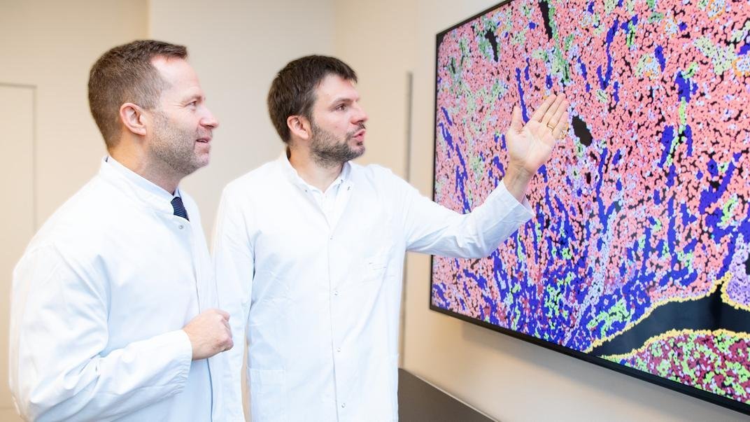 Prof. Dr. Christian Hinze (rechts) und Prof. Dr. Kai Schmidt-Ott diskutieren vor einem großen Monitor mit einer mikroskopischen Aufnahme. 
