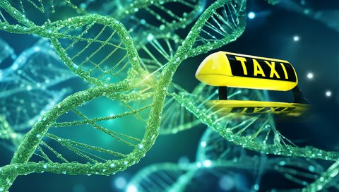 Symbolische DNA-Abschnitte in grün schweben neben einem gelben Taxi-Schild.