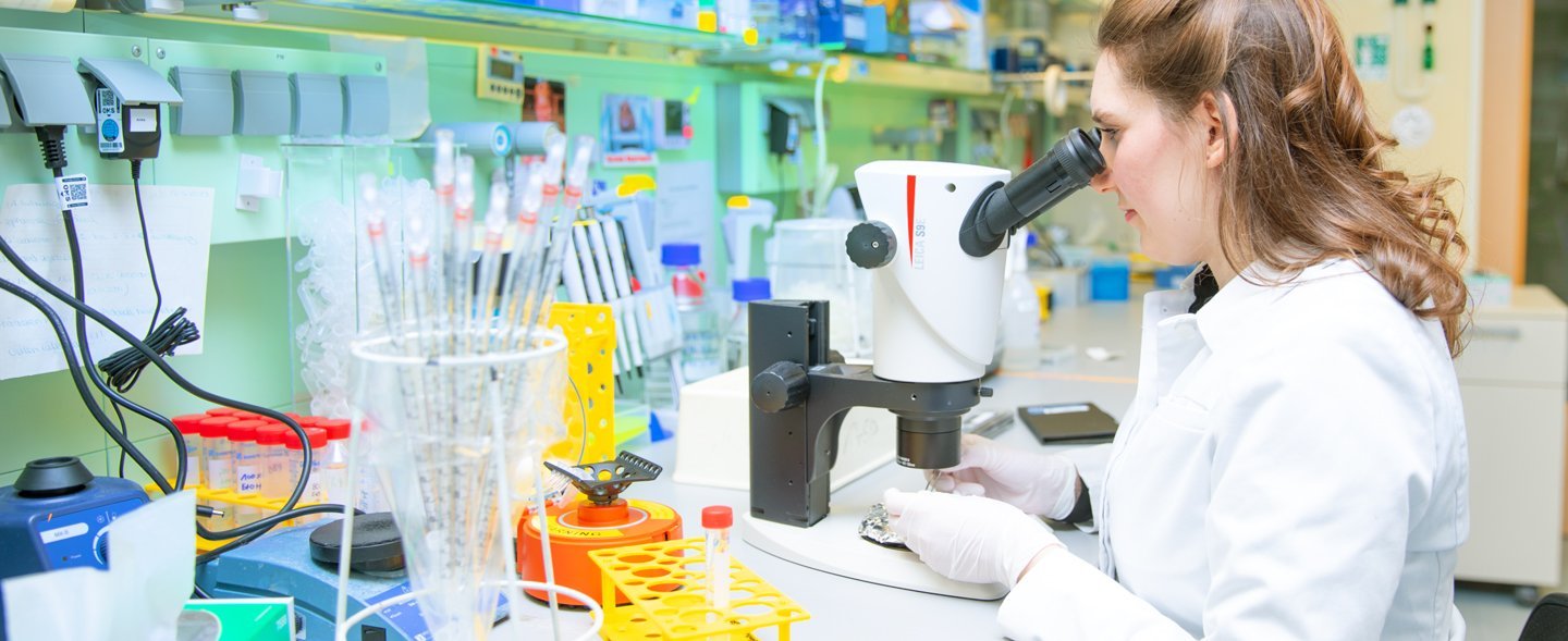 Dr. Caroline Perner sitzt im Labor vor einem Mikroskop.