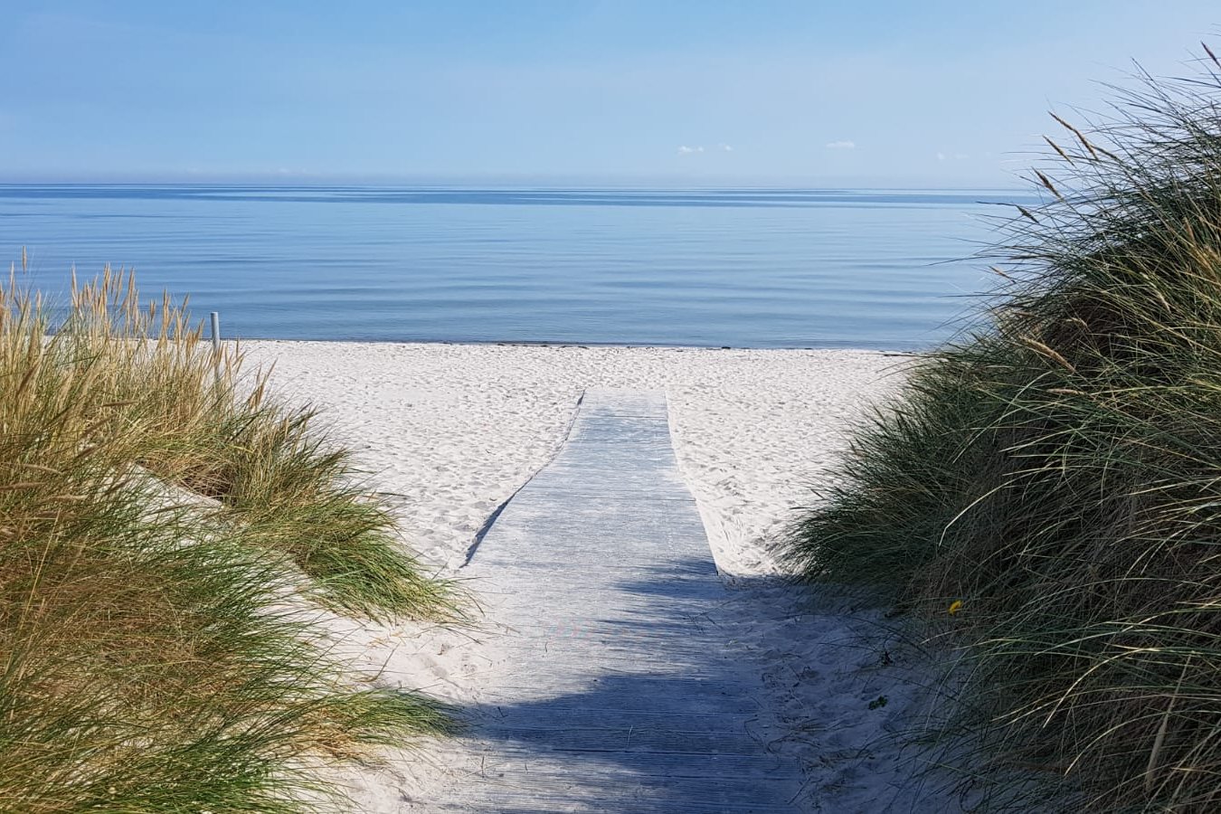 © Karola Monsees-Schmidt Ein Sandweg führt durch Dünen hinunter zum Meer, das im Hintergrund zu sehen ist.