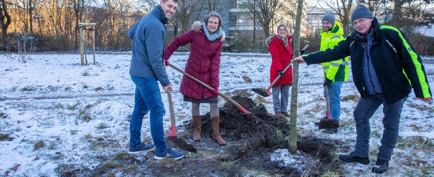Manuel Kornmayer, Bereichsleitung öffentliche Grünflächen, MHH-Vizepräsidentin Martina Saurin, Eva Hoffmeister, stellvertretende Sachgebietsleitung Baum und Flächenschutz, Tim Neuberger, Sonderaufgaben Werkhof 6 und Holger Severloh, stellvertretender Werkhofleiter 6 pflanzen einen Apfelbaum