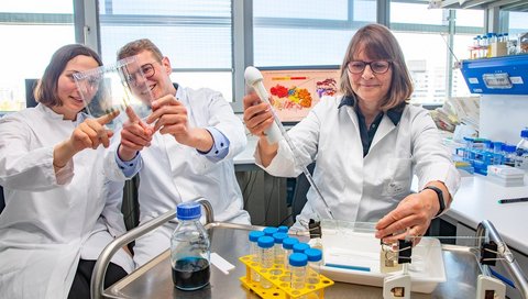 Dr. Timm Fiebig and his colleague Julia Schulze (left) are looking at a gel electrophoresis image, his colleague Andrea Bethe (right) is filling a gel electrophoresis chamber.