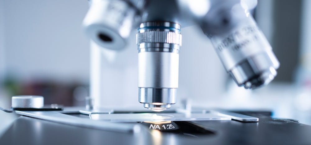 Copyright: Mühlfeld, Christian/Institut für Funktionelle und Angewandte Anatomie/MHH