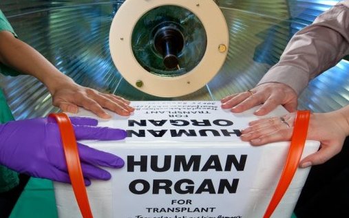 MHH, Organspende, Transplantation Copyright: Bodo Kremmin/MHH