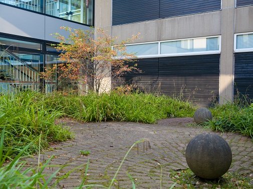 Innenhof des Gebäudes I2 der MHH mit Gartenanlagen.