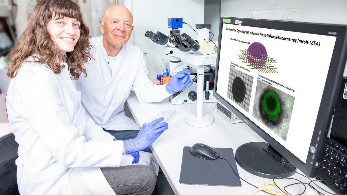 Dr. Lika Drakhlis und Prof. Dr. Robert Zweigerdt sitzen nebeneinander in einem Labor an einem Mikroskop und einem Computer-Monitor. 