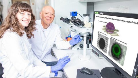 Eine Wissenschaftlerin und ein Wissenschaftler sitzen vor einem Mikroskop und einem Computer-Bildschirm, auf dem Herzorganoide abgebildet sind.