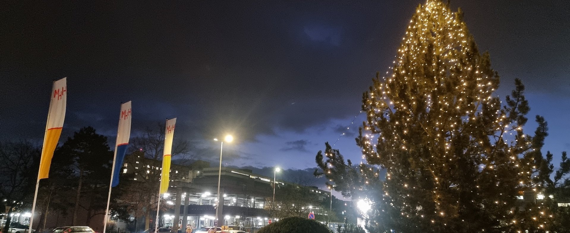 Weihnachtlich geschmückter Tannenbaum an der Haupteinfahrt der MHH