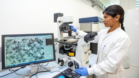Dr. Shambhabi Chatterjee steht im Labor vor einem Bildschirm, auf dem Herzmuskelzellen zu sehen sind. 