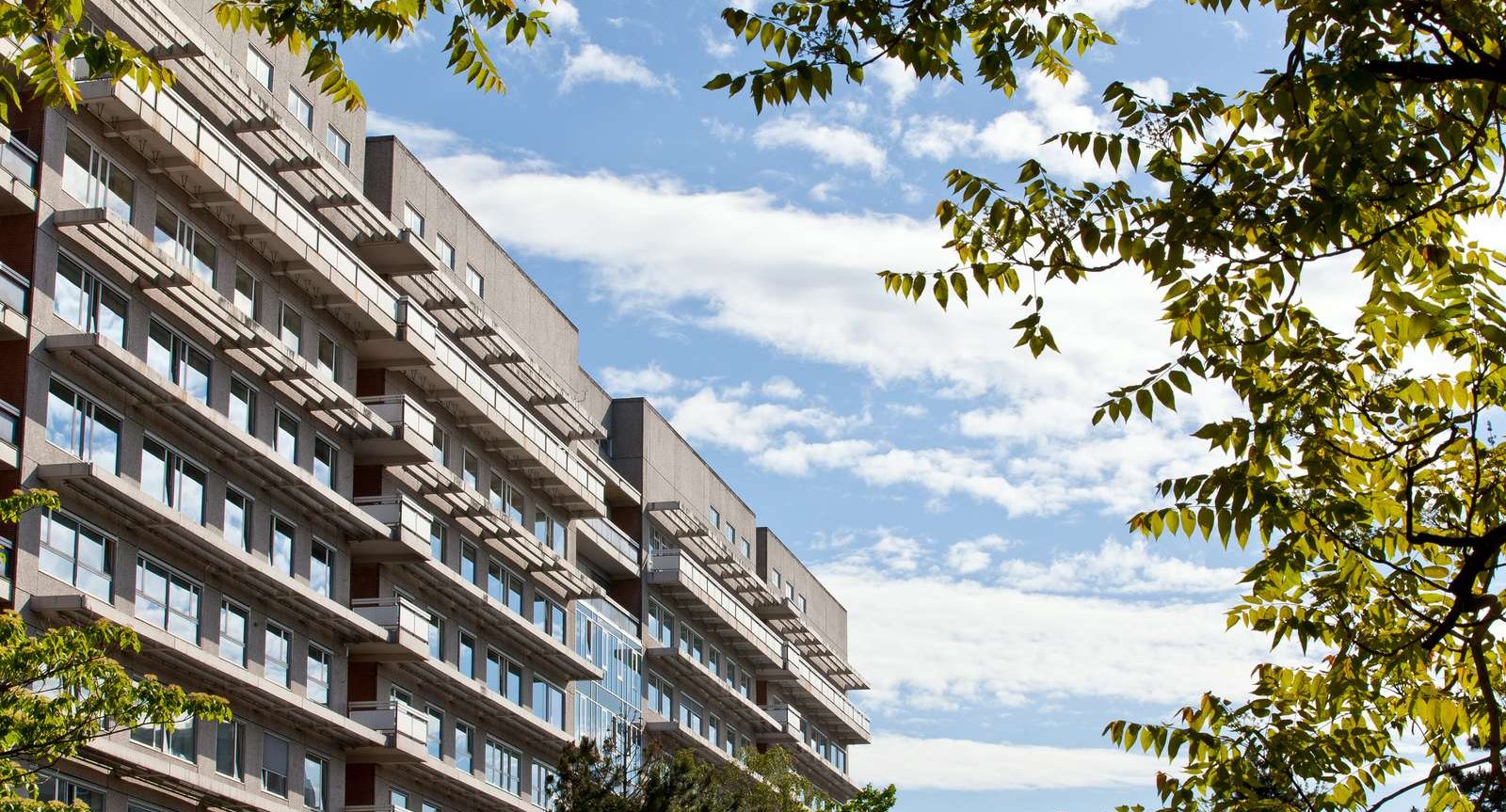 Bild mit Ausschnitt des Bettenhauses, im Hintergrund blauer Himmel mit Wolken, im Vordergrund Äste mit grünen Blättern