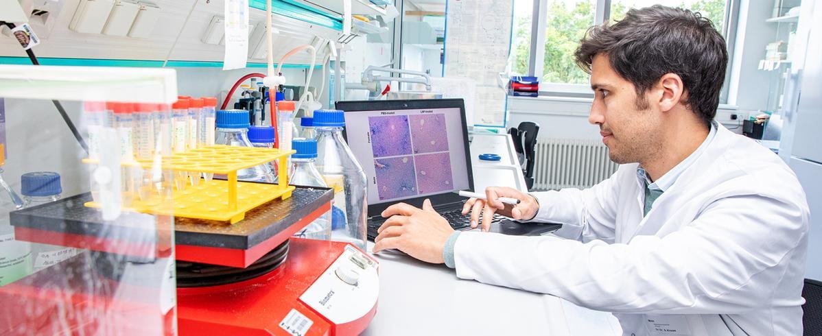 Ein Wissenschaftler sitzt in einem Forschungslabor und betrachtet Mikroskopieaufnahmen von Leberzellen.