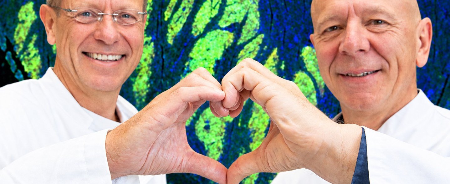 Zwei Wissenschaftler in weißen Kitteln stehen vor einer Fluoreszenzaufnahme von Herzmuskelgewebe und formen ihre Hände zu einem Herz.
