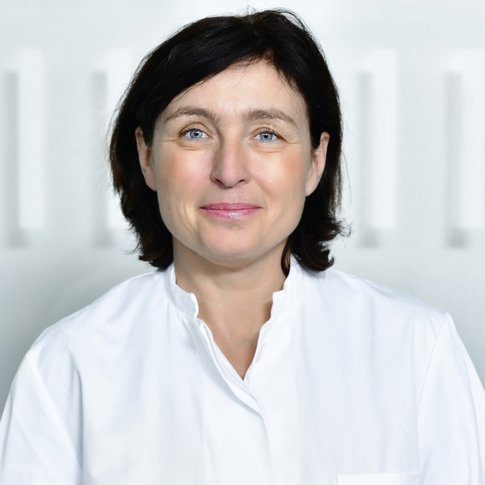 [Translate to Englisch:] Foto: Institut für Transfusionsmedizin und Transplantat Engineering/MHH