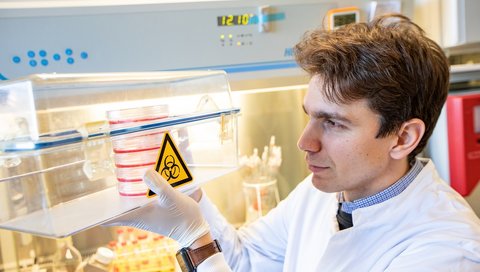 Young scientist Philippe Vollmer Barbosa sits at a biotechnological workbench in the laboratory and looks at cell cultures.