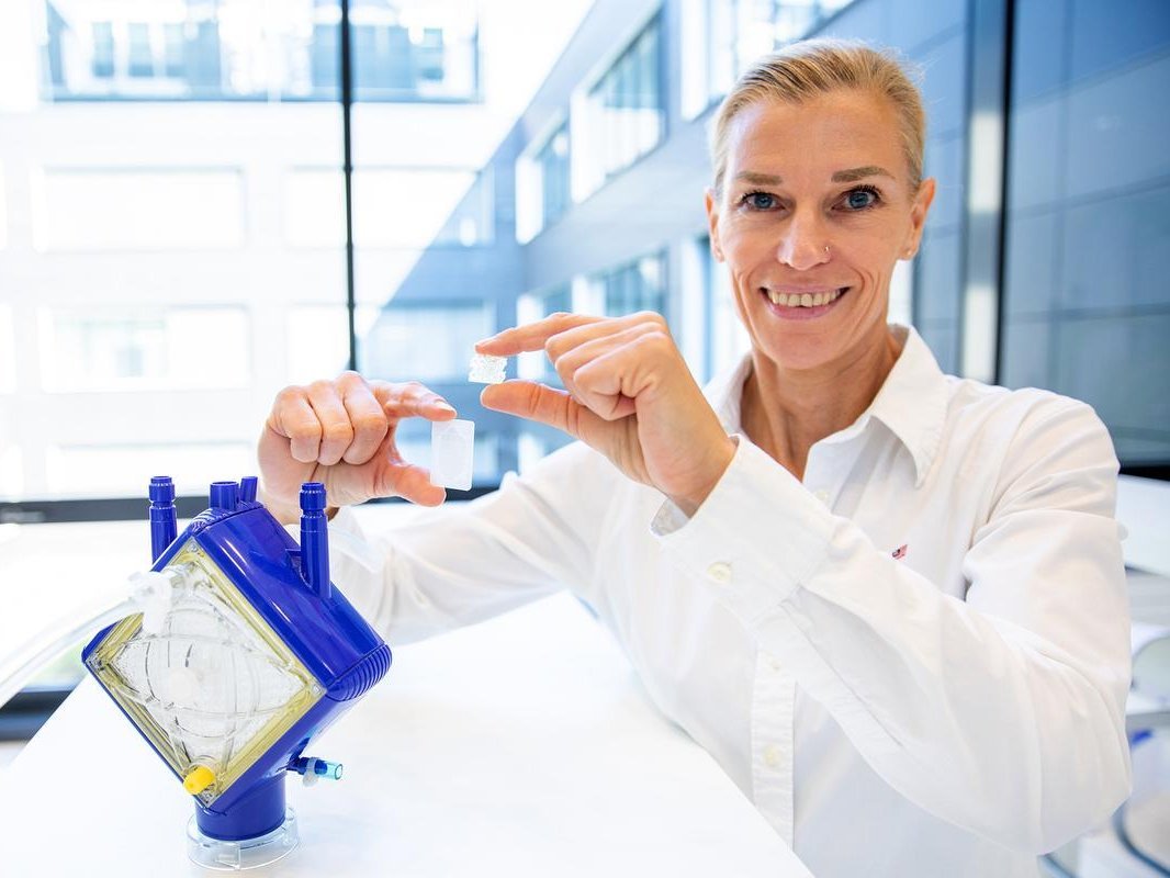 Eine Wissenschaftlerin hält zwei unterschiedliche Membranstrukturen für künstliche Lungen in den Händen. Daneben steht ein ECMO-Lungenunterstützungssystem.