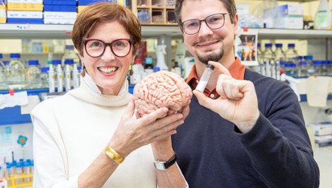 In einem Labor des Instituts für Klinische Biochemie stehen Professorin Dr. Rita Gerardy-Schahn und Dr. Hauke Thiesler und zeigen das Modell eines menschlichen Gehirns und ein Röhrchen mit Polysialinsäure. 