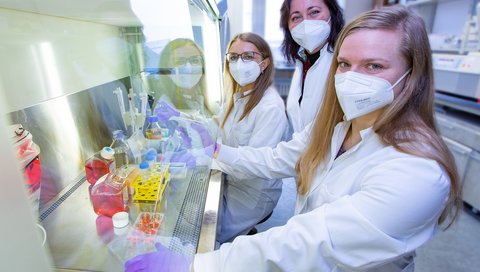 Die Wissenschaftlerinnen Inga Hochnadel, Dr. Tetyana Yevsa und Dr. Lisa Hönicke stehen an einem Arbeitsplatz im Labor.