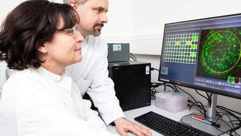 Eine Frau und ein Mann in weißen Kitteln sitzen an einem Computerbildschirm und betrachten die Ergebnisse einer Blutuntersuchung.