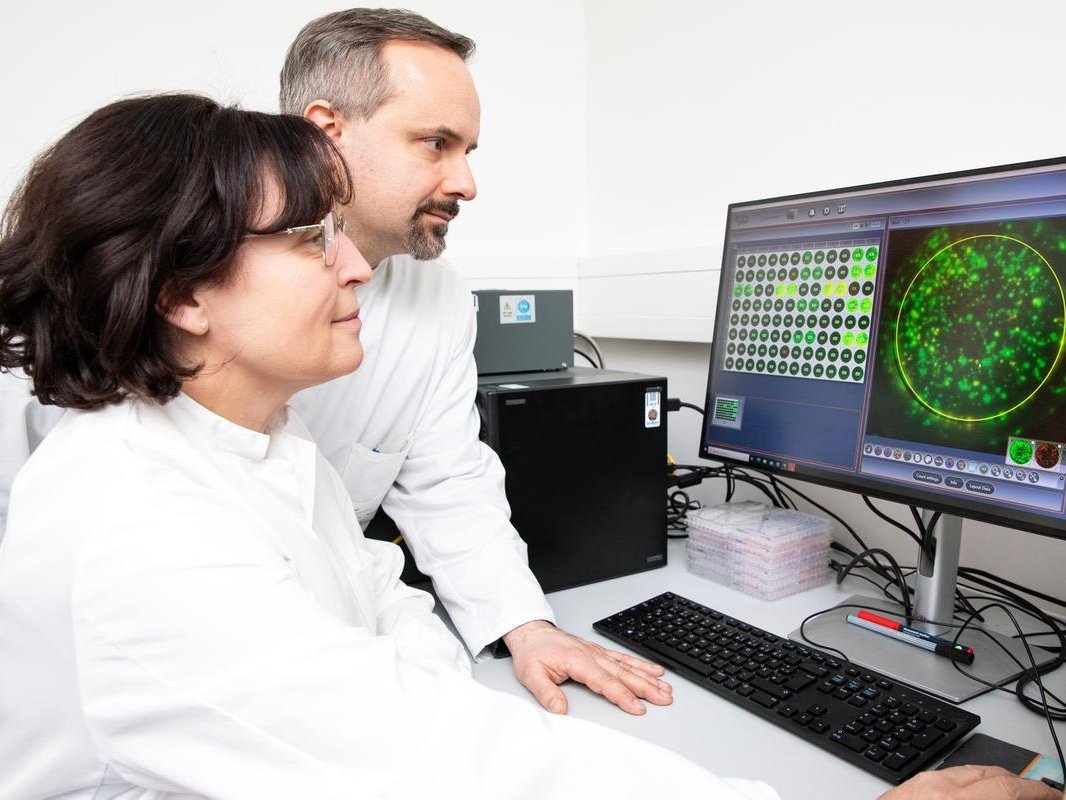 Eine Frau und ein Mann in weißen Kitteln sitzen an einem Computerbildschirm und betrachten die Ergebnisse einer Blutuntersuchung.