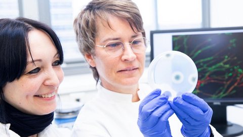 Professorin Dr. Françoise Routier (rechts) und ihre Wissenschaftliche Mitarbeiterin Patricia Zarnovican betrachten eine Petrischale mit Aspergillus-Biofilmen. 