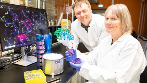 Ein Mann und eine Frau in weißen Kitteln sind in einem Labor zu sehen. Neben ihnen steht ein Bildschirm, auf dem die Struktur des Proteins Oligoadenylat-Synthase zu sehen ist. Copyright: Karin Kaiser/MHH