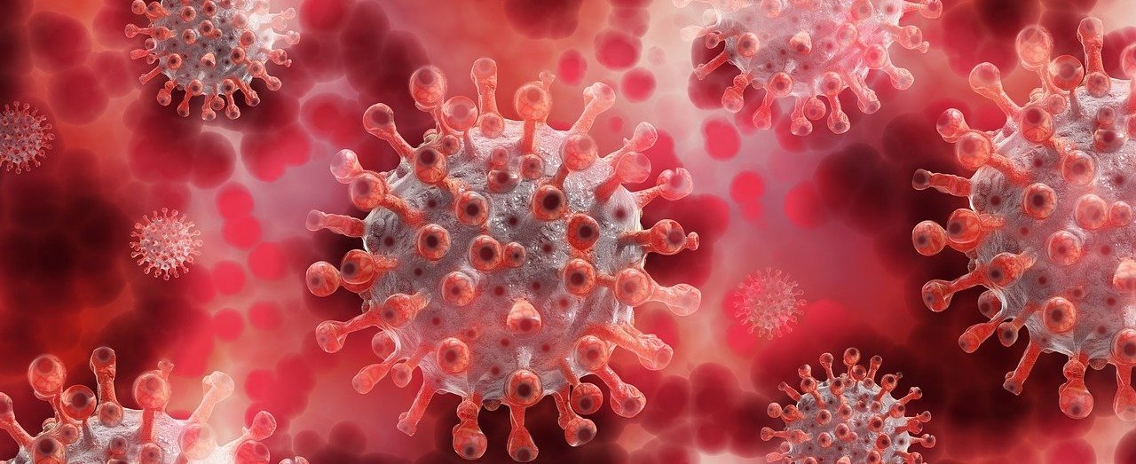 mehrere Coronaviren in grafischer Darstellung auf rötlichem Hintergrund