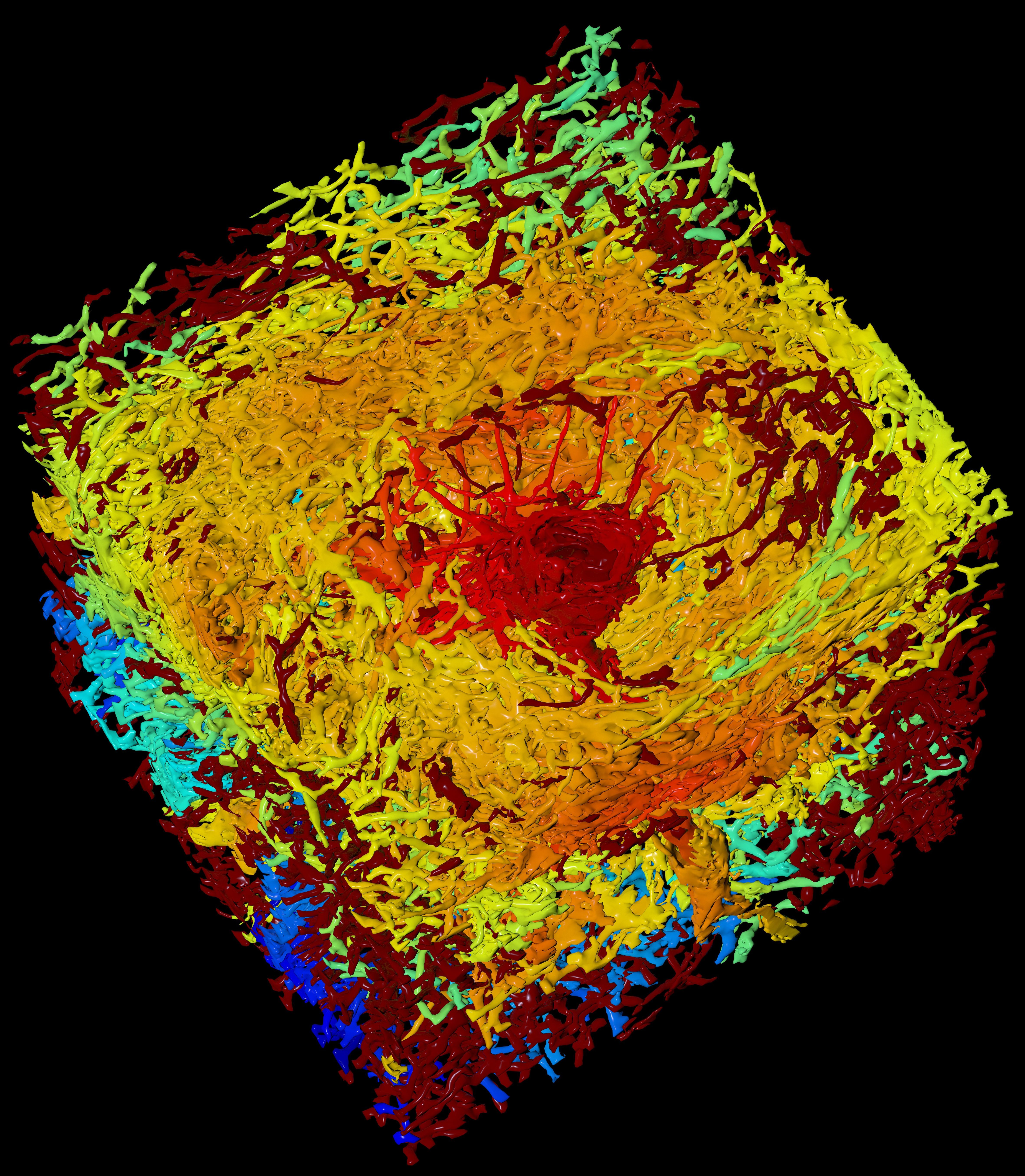 Copyright: O. Lobachev/Funktionelle und Angewandte Anatomie/MHH Neuartige 3D-Visualisierung der Blutgefäße in der humanen Milz. Seite des Würfels = 1 mm. Copyright: O. Lobachev/Funktionelle und Angewandte Anatomie/MHH