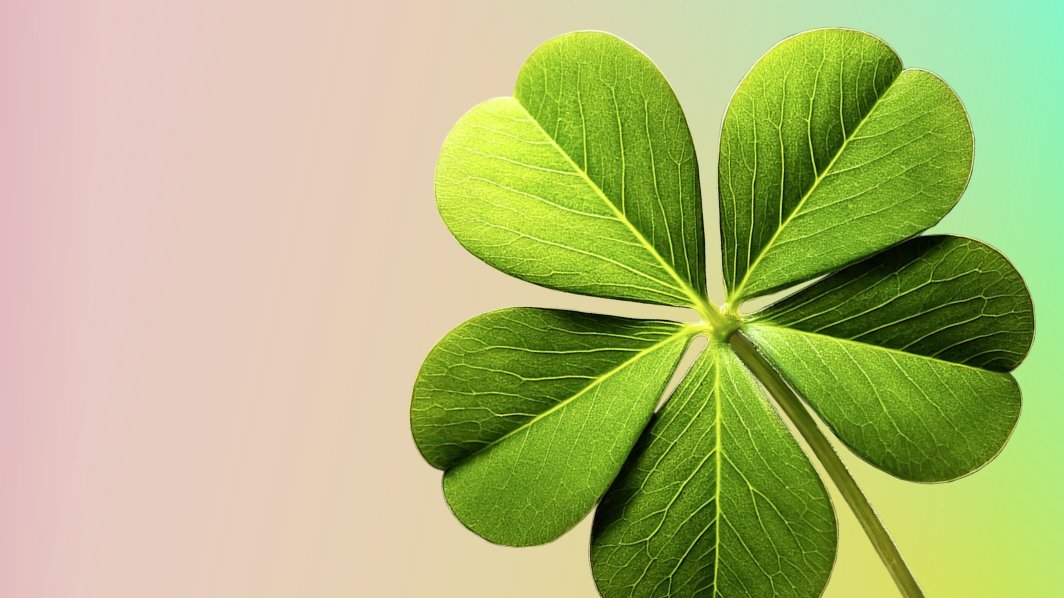A green five-leaf clover on a background with a colour gradient from pink to green