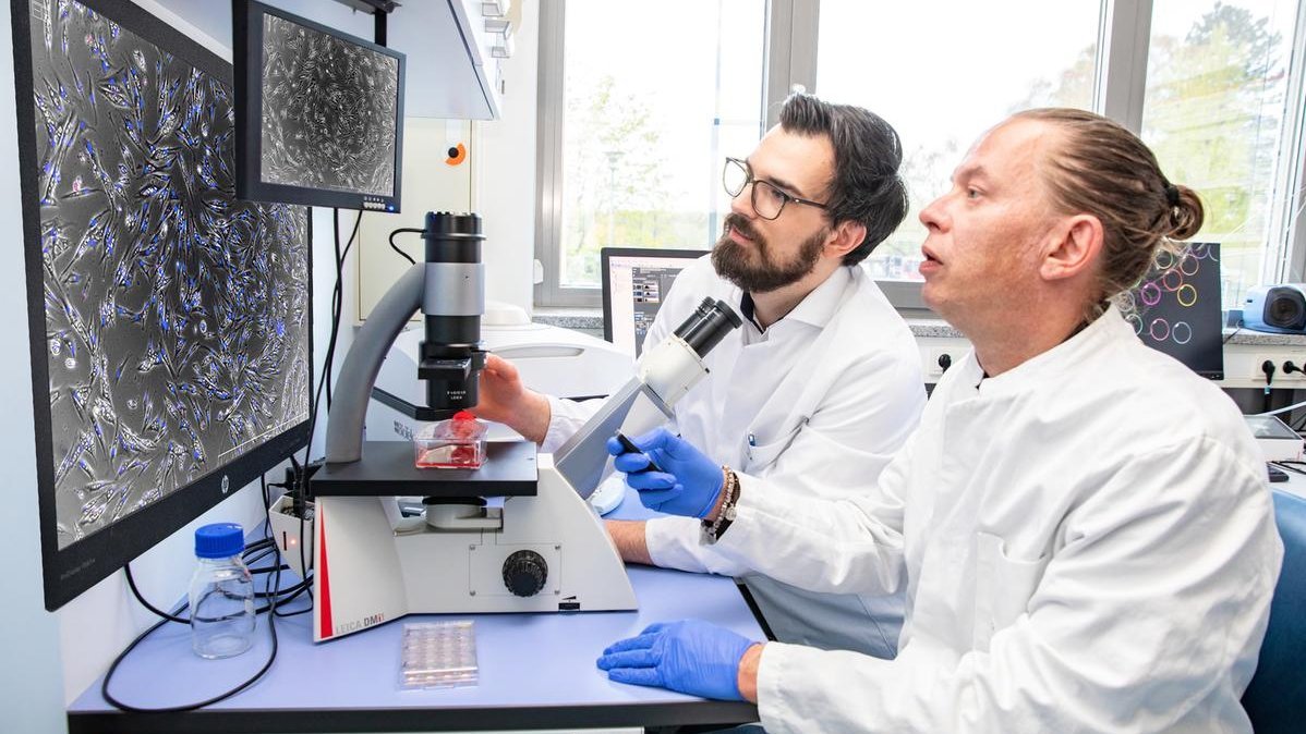 Dr. Maximilian Binter (links) und Dr. Heiko Fuchs sitzen in einem Labor an einem Mikroskop und schauen auf einen Monitor darüber.
