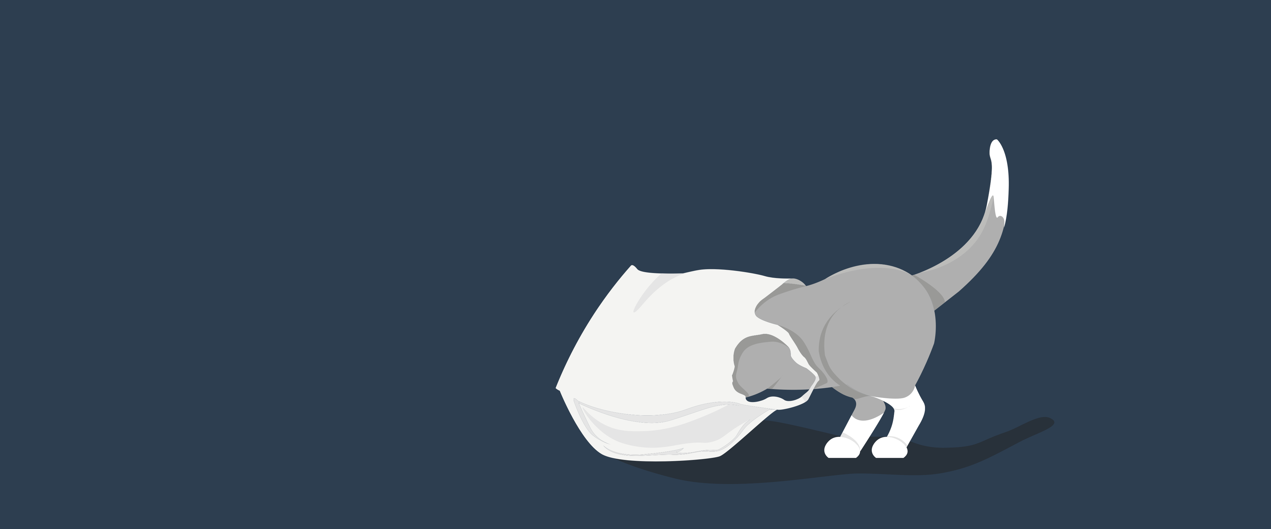 404 - Cat is looking in bag