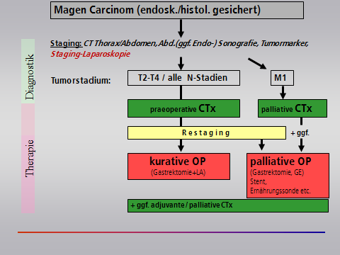 © M. Winkler/MHH Schematische Darstellung der Diagnostik und Therapie bei mindestens T2-Tumoren, siehe Text