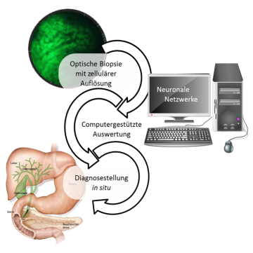 Schematische Darstellung einer Kombination optischer Techniken, wie der hyperspektralen Bildgebung, und künstlicher Intelligenz. 