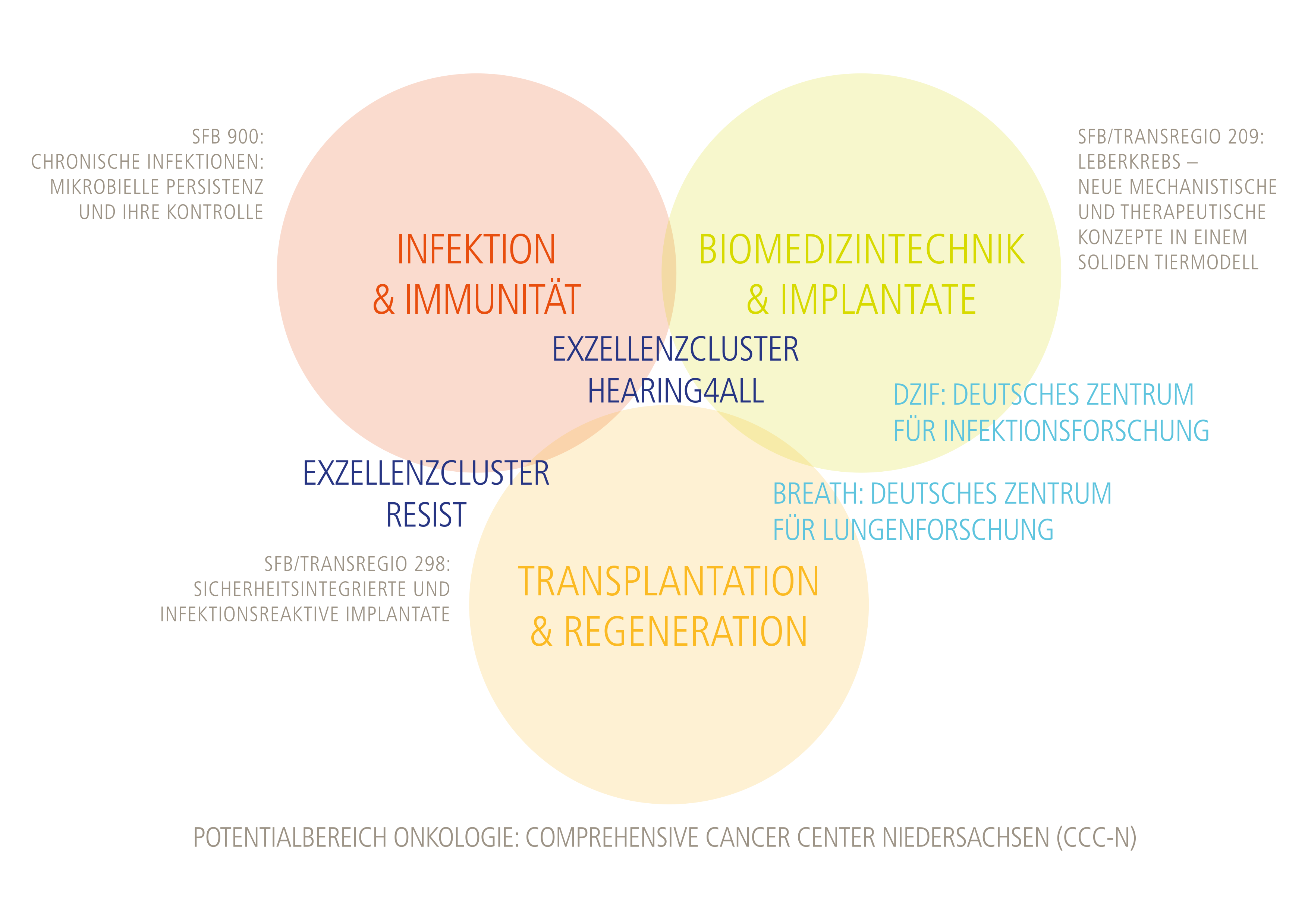 Grafik mit Kreisen zeigt die Forschungsschwerpunkte der MHH