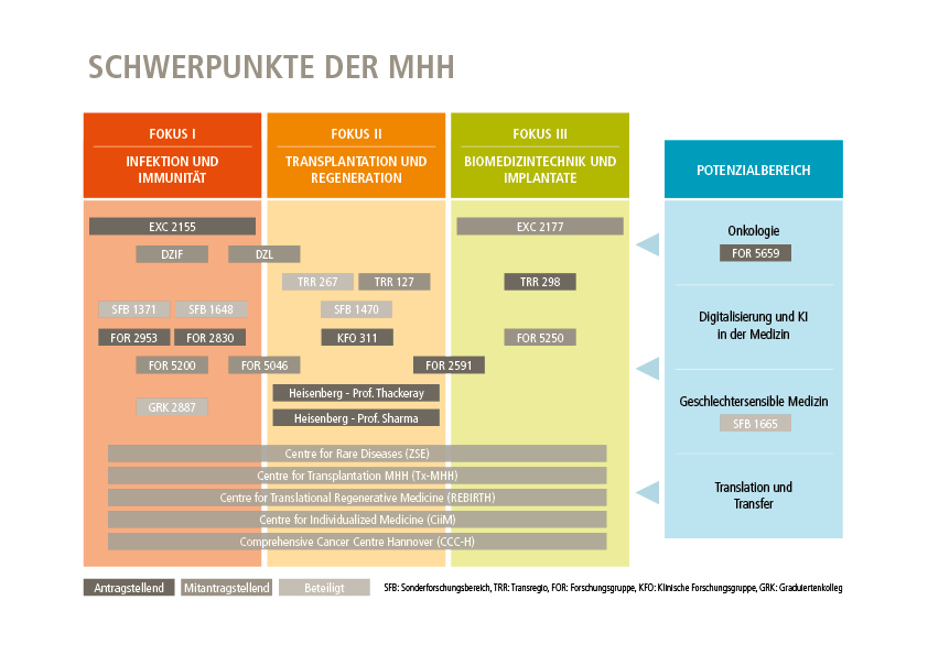 Grafik aus MHH-Jahresbericht zeigt die Schwerpunkte und Potentialbereiche der MHH