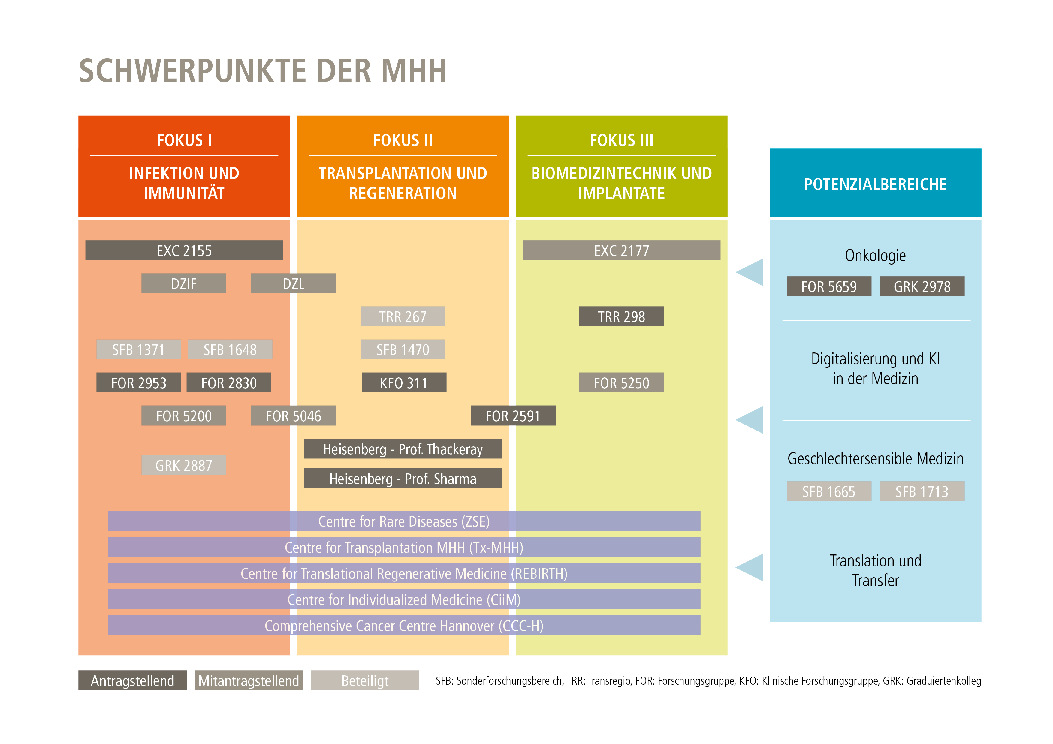 Grafik aus MHH-Jahresbericht zeigt die Schwerpunkte und Potentialbereiche der MHH