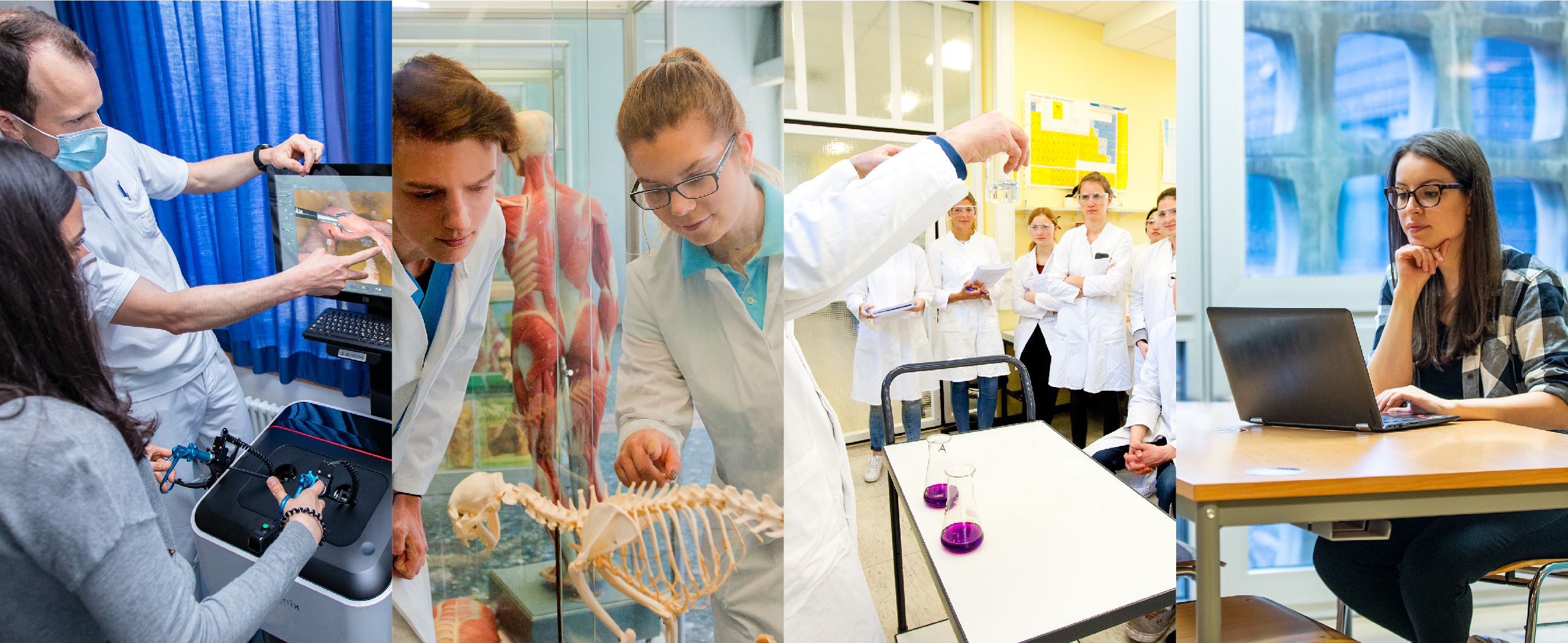 Collage of photos on the theme of study: students at the operating room simulator, students looking at an animal skeleton, students in white coats being taught, students at table with laptop computer