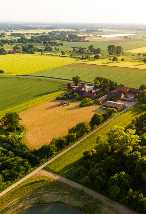 Eine Ländliche Region (Felder, Bäume, vereinzelt Häuser) aus der Vogelperspektive fotografiert.