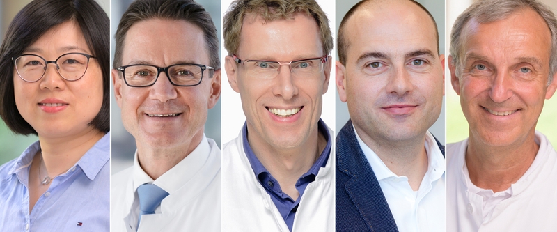 Copyright: MHH/ Kaiser Fotos Prof. Li, Prof. Höper, Prof. Werfel, Prof. Thum