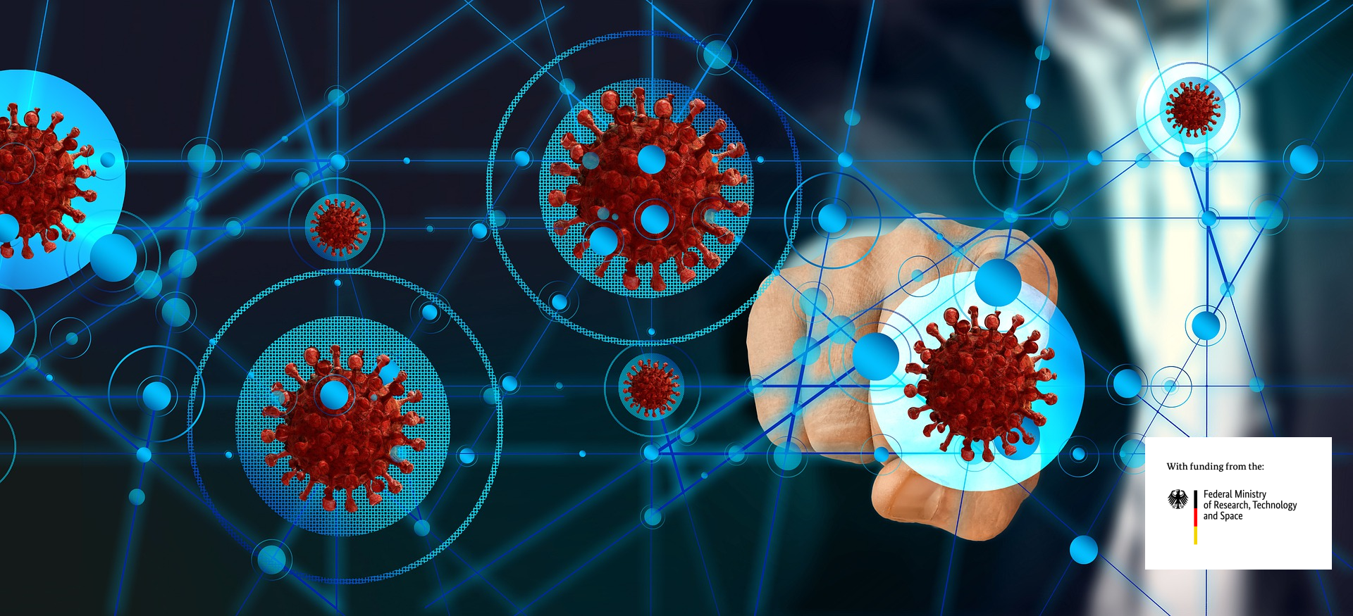 Network made from Corona-Viruses