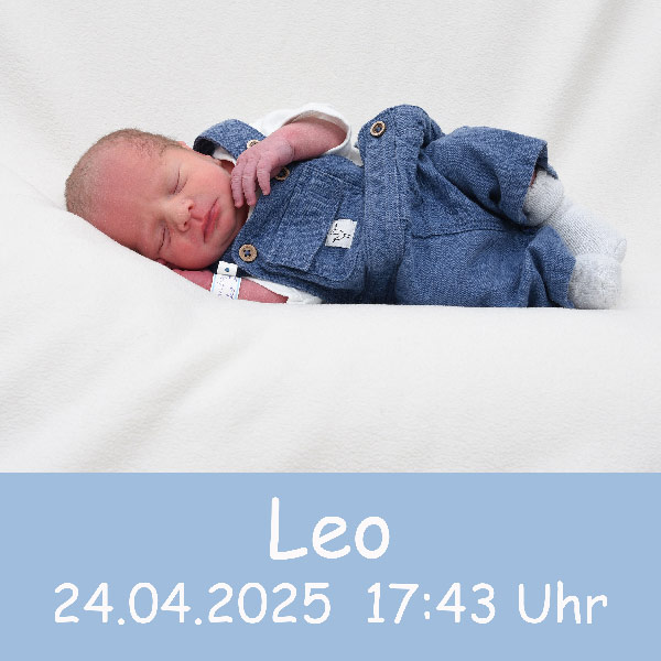Baby Leo 