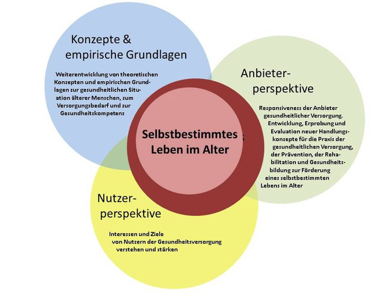 Grafik zur Veranschaulichung der Verzahnung der Inhalte des Promotionsprogramms