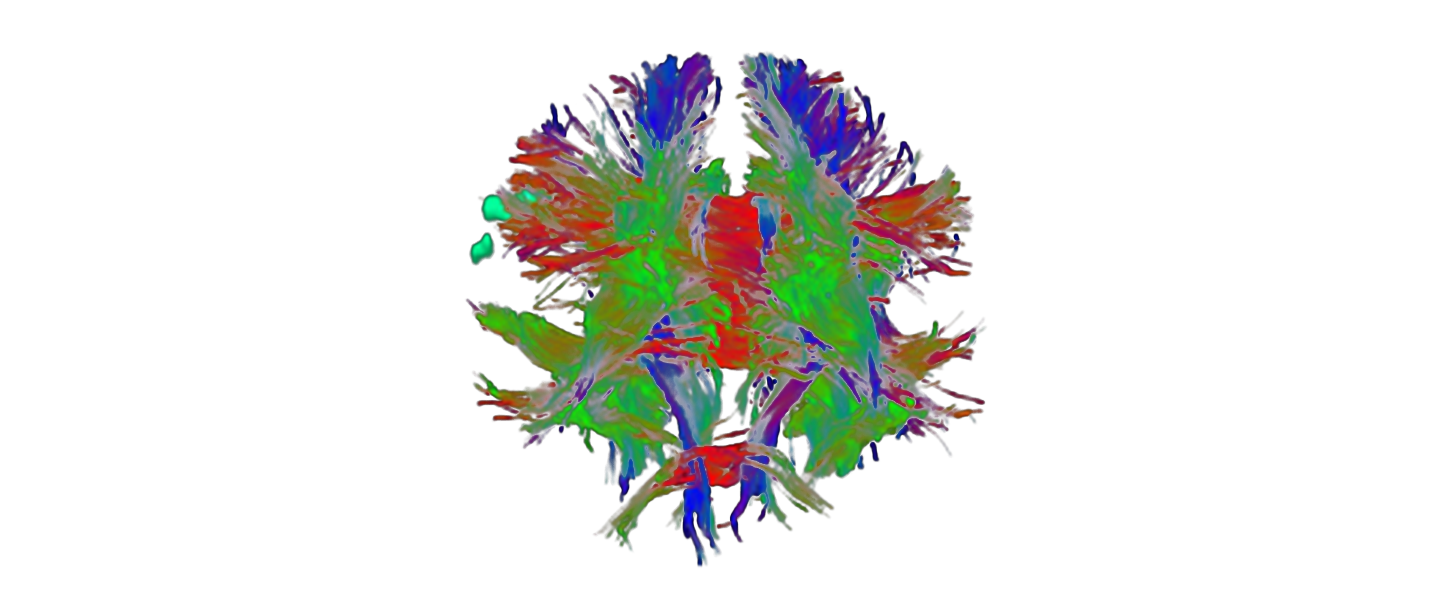 Professor Dr. med. H. Lanfermann / Klinik für Neurologie / MHH