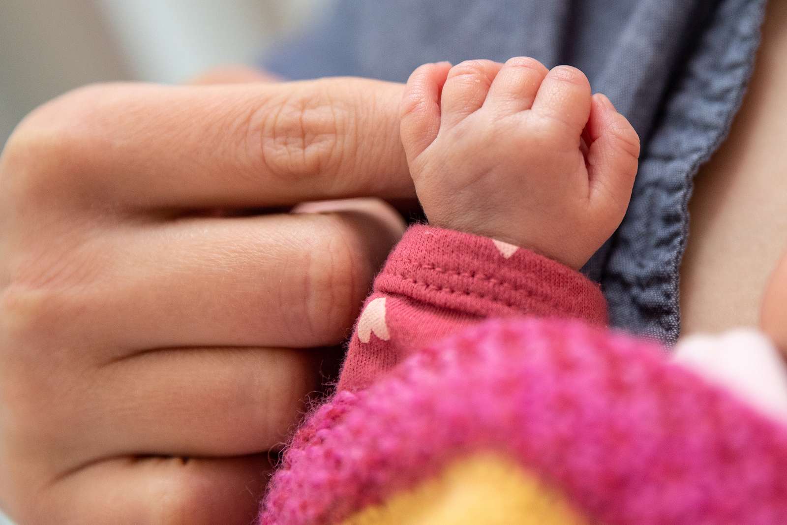Foto: Karin Kaiser | MHH Hand eines Nuegeborenen umfasst Finger einer Erwachsenenhand