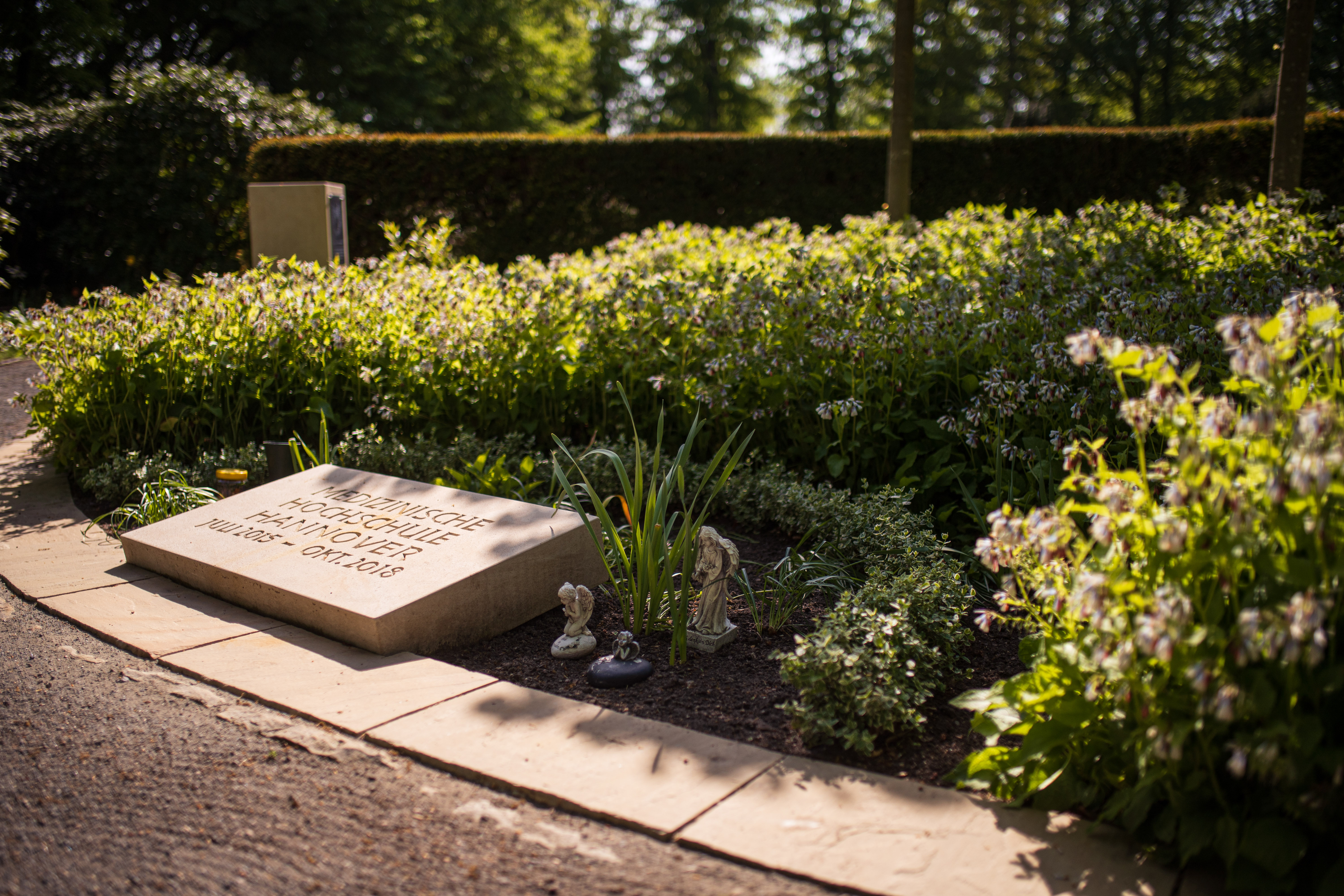 Grabstelle mit Blumen und Stele der Anatomie/Vivien Schmidt/MHH