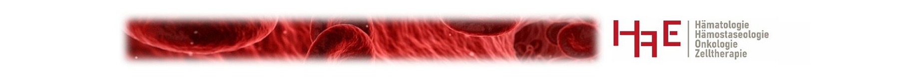 Logo der Klinik für Hämatologie der Medizinischen Hochschule Hannover.