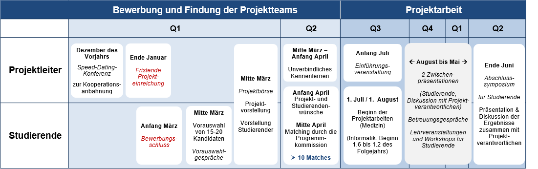 Ablauf des DigiStrucMed-Programms