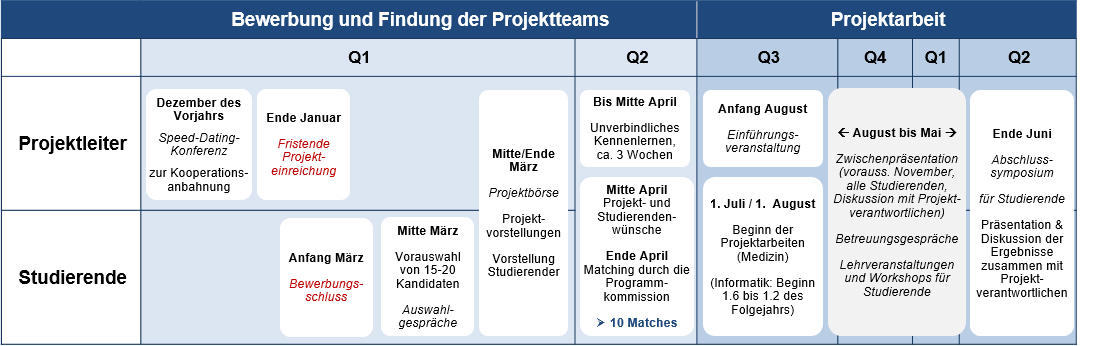 Ablauf des DigiStrucMed-Programms über ein Projektjahr.