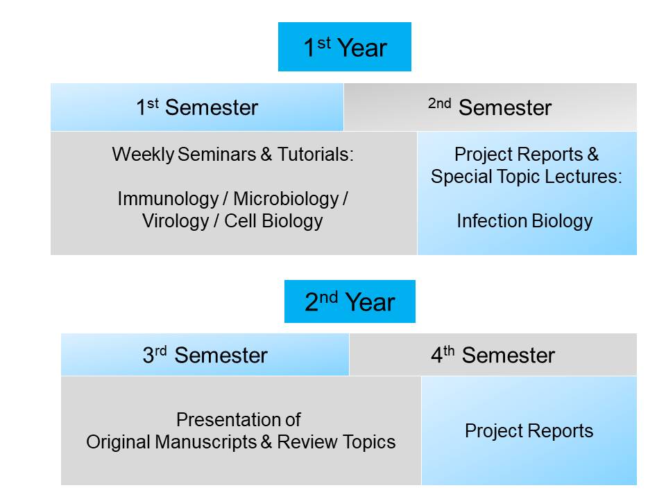 Curriculum