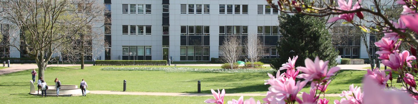 Der Patientengarten der MHH, grüne Wiese vor einem Gebäude, rechts Kirschblüten