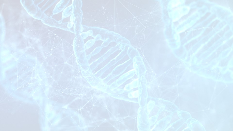 Blaue Darstellung einer DNA. Bild von Victoria / Pixabay